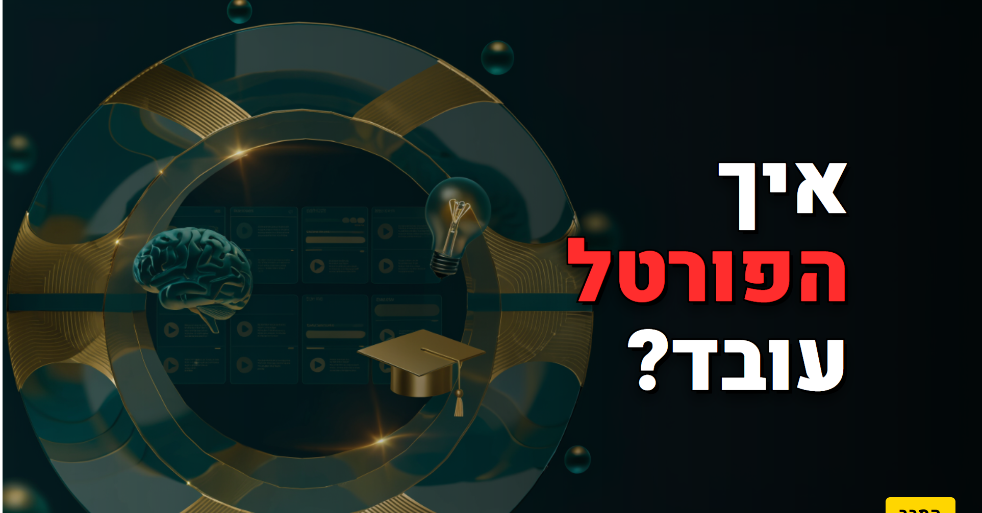 איך הפורטל עובד?